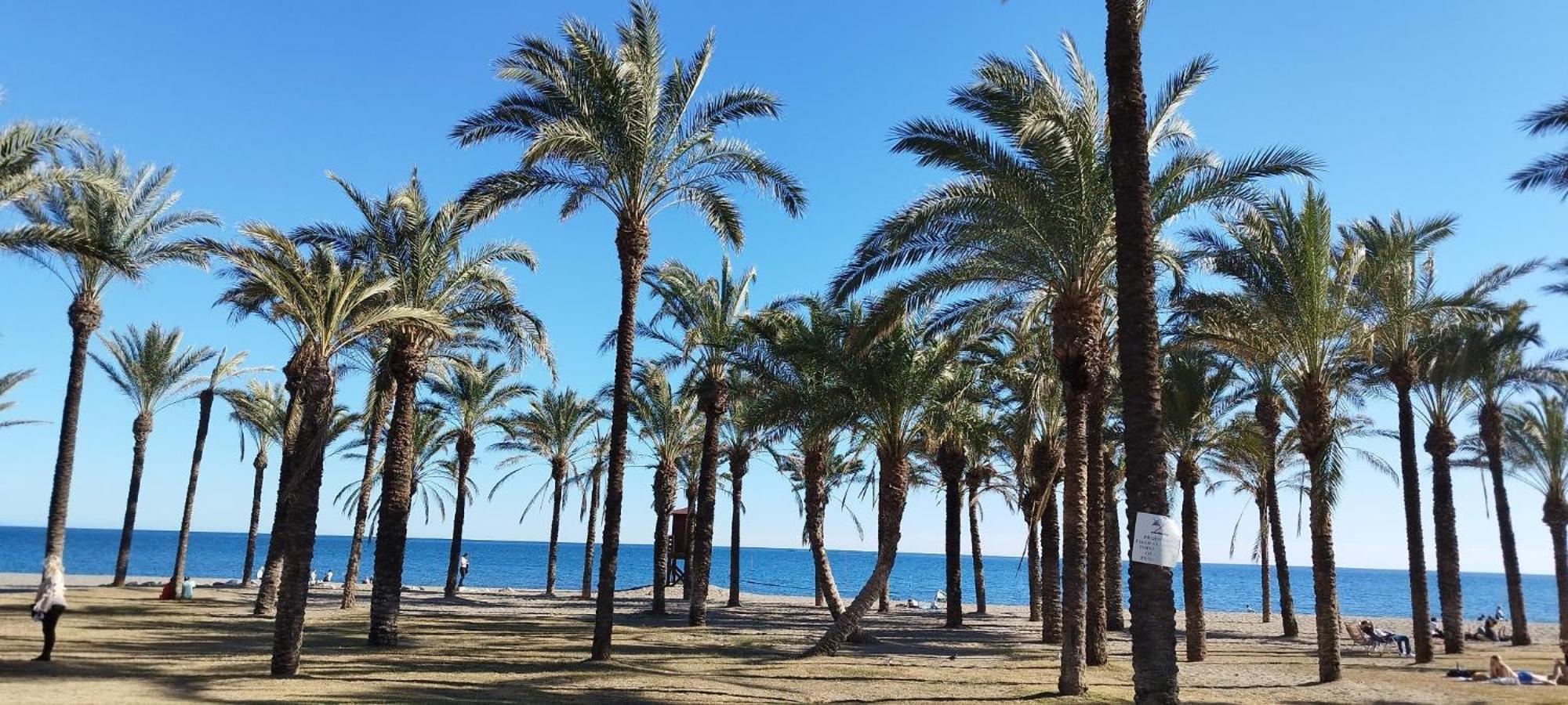 Torremolinos:Appartement avec piscine et terrasse Extérieur photo