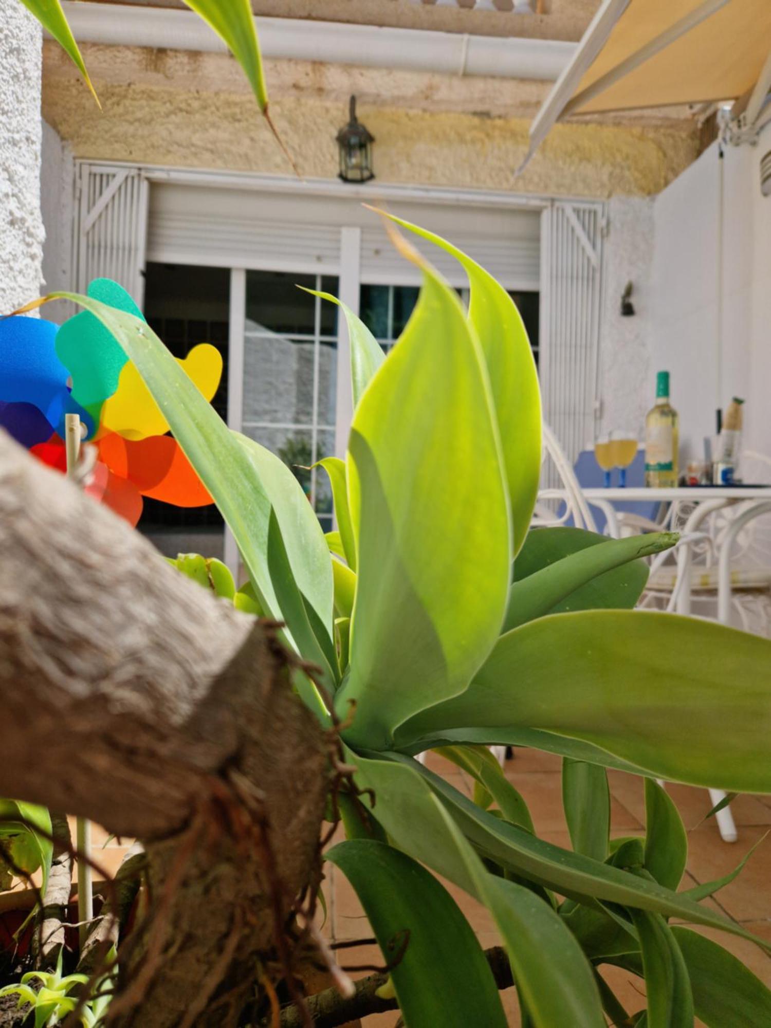 Torremolinos:Appartement avec piscine et terrasse Extérieur photo