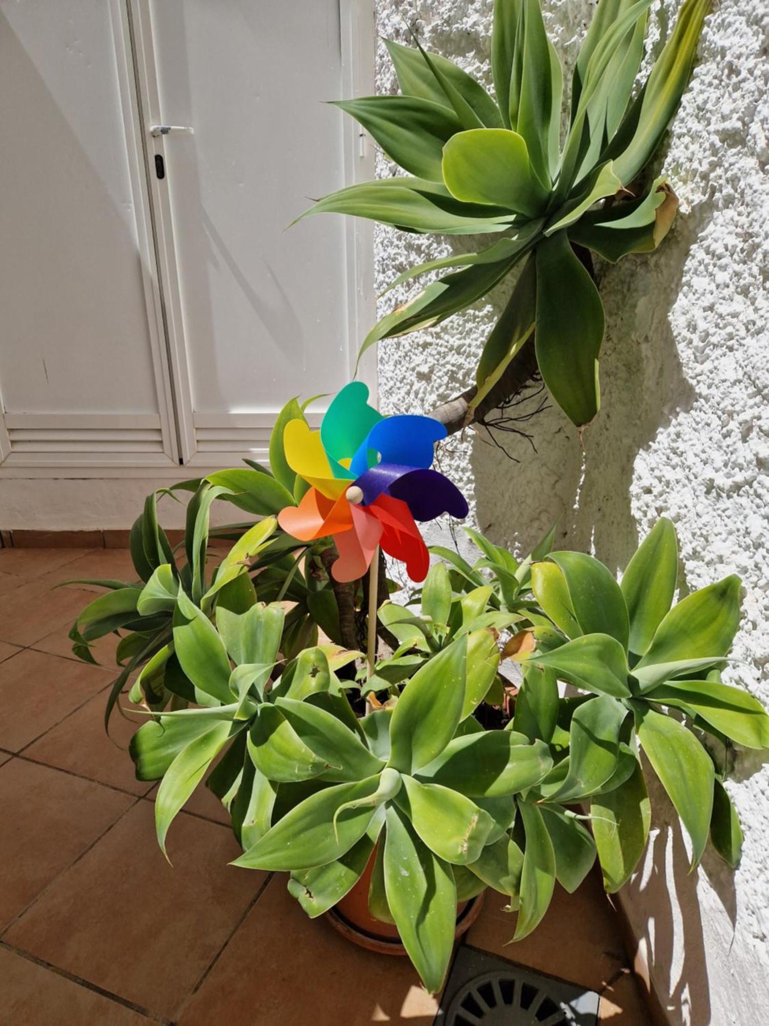 Torremolinos:Appartement avec piscine et terrasse Extérieur photo